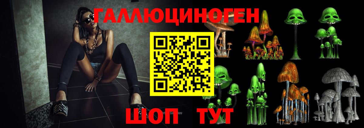 Кулебаки  Псилоцибиновые грибы GOLDEN TEACHER  Вход с VPN  Псилоцибиновые грибы GOLDEN TEACHER 